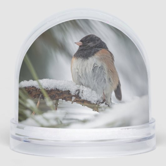 Snowbird Snow Globe Schneekugeln (Vorderseite)