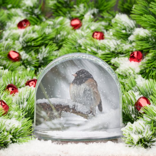 Snowbird Snow Globe Schneekugeln (Weihnachten)