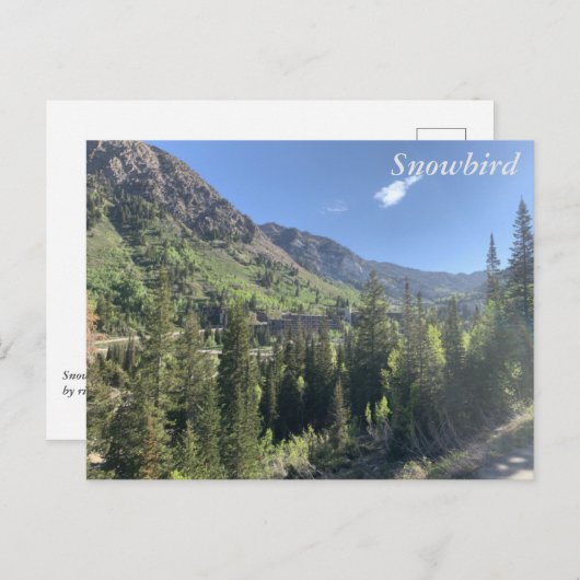 Snowbird - Sommer Postkarte (Vorne/Hinten)