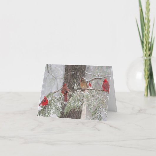 SnowBirds Karte (Vorderseite)