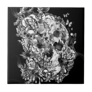 Snowbirds, Schädel hergestellt von den Vögeln und Fliese