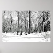 Snowblind Poster (Vorne)