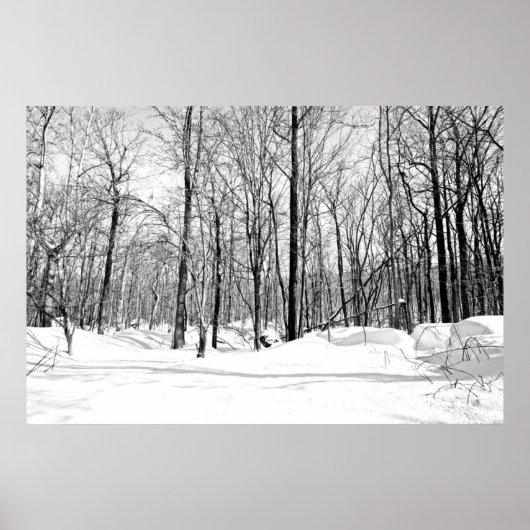 Snowblind Poster (Vorne)