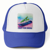 Snowboard-Bettmannschaft betet für Schneeinsekt-Ku