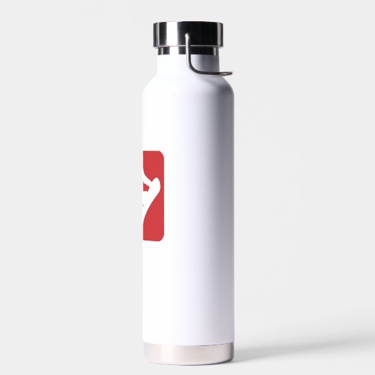 Snowboarding All Star Trinkflasche (Links)