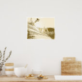 SnowboardSunset Poster (Küche)