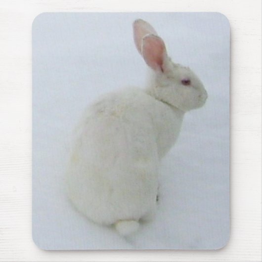 SnowBunny Mousepad (Vorne)
