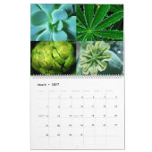 Snowcatcher 2026 - Kalender (Mär 2027)