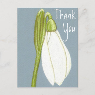 Snowdrop Blume Danke Postcard Postkarte