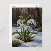 Snowdrop Blume Postkarte (Vorne/Hinten)