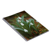 Snowdrop Blume Spiral Foto Notebook Notizblock (Rechte Seite)