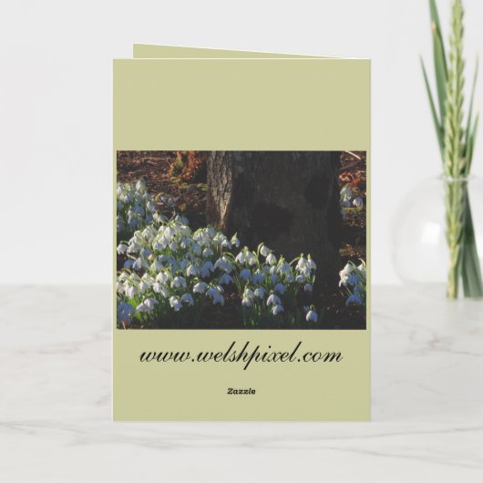 Snowdrop Card Karte (Rückseite)