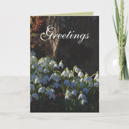 Snowdrop Card Karte (Vorderseite)