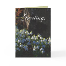 Snowdrop Card
