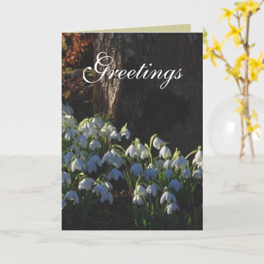 Snowdrop Card Karte (Gelbe Blume)
