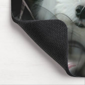 Snowdrop das maltesische Mousepad (Ecke)