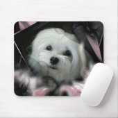 Snowdrop das maltesische Mousepad (Mit Mouse)