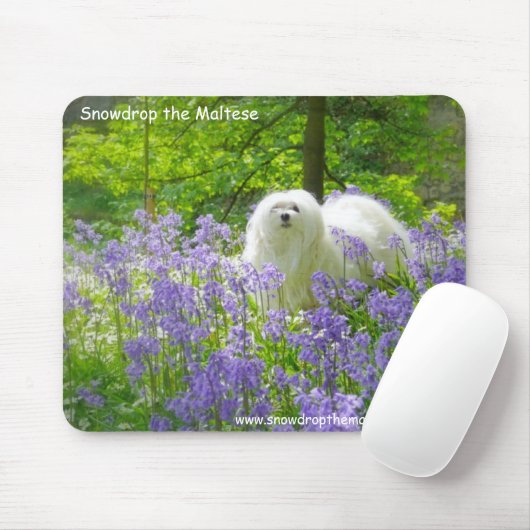 Snowdrop das maltesische mousepad (Mit Mouse)