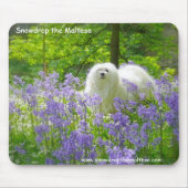 Snowdrop das maltesische mousepad (Vorne)