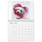 Snowdrop der maltesische Kalender (Feb 2026)