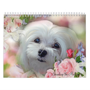 Snowdrop der maltesische Kalender