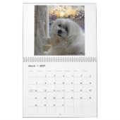 Snowdrop der maltesische Kalender (Mär 2027)