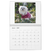 Snowdrop der maltesische Kalender (Mär 2027)