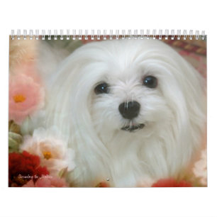 Snowdrop der maltesische Kalender