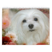 Snowdrop der maltesische Kalender (Titelbild)