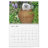 Snowdrop der maltesische Kalender (Mär 2027)