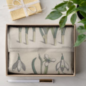 Snowdrop, die Botany-Serie von Eugene Grasset Seidenpapier (Geschenk)