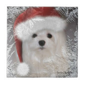 Snowdrop die maltesische dekorative Keramik-Fliese Fliese (Vorderseite)