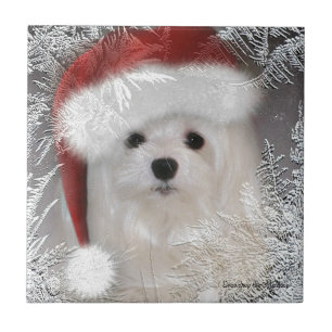 Snowdrop die maltesische dekorative Keramik-Fliese Fliese