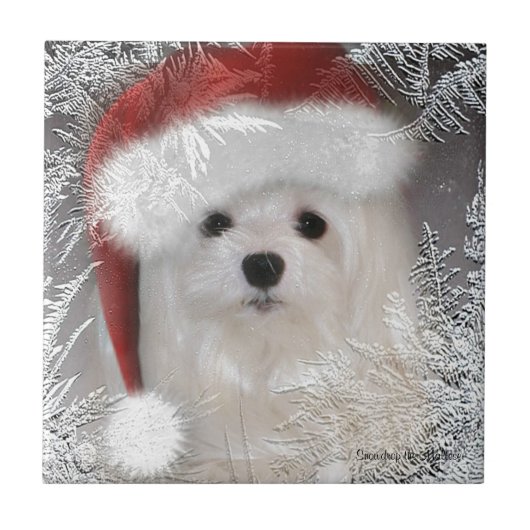 Snowdrop die maltesische dekorative Keramik-Fliese Fliese (Vorderseite)