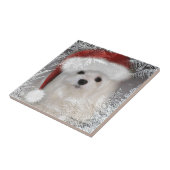 Snowdrop die maltesische dekorative Keramik-Fliese Fliese (Seite)