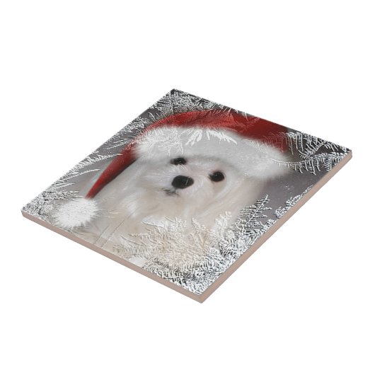 Snowdrop die maltesische dekorative Keramik-Fliese Fliese (Seite)