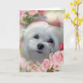 Snowdrop die maltesische Gruß-Karte Karte (Gelbe Blume)