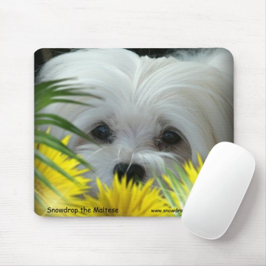 Snowdrop die maltesische Mausunterlage Mousepad (Mit Mouse)