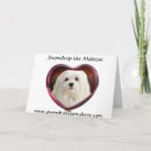 Snowdrop die maltesische Weihnachtskarte Feiertagskarte (Rückseite)