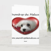 Snowdrop die maltesische Weihnachtskarte Feiertagskarte (Rückseite)