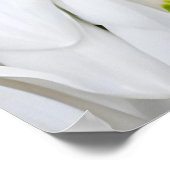 Snowdrop (Galanthus nivalis), Bote des Frühlings Poster (Ecke)