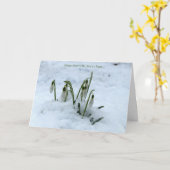 Snowdrop Imbolc Greeting Card Karte (Gelbe Blume)