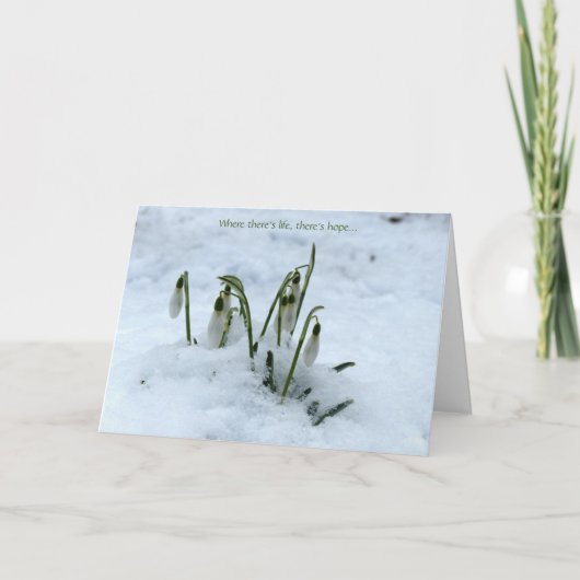 Snowdrop Imbolc Greeting Card Karte (Vorderseite)