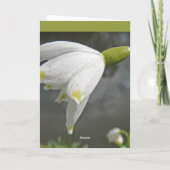 Snowdrop Karte (Rückseite)