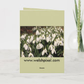 Snowdrop Karte (Rückseite)