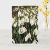 Snowdrop Karte (Gelbe Blume)