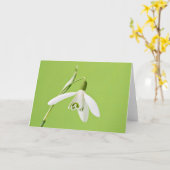 Snowdrop Karte (Gelbe Blume)
