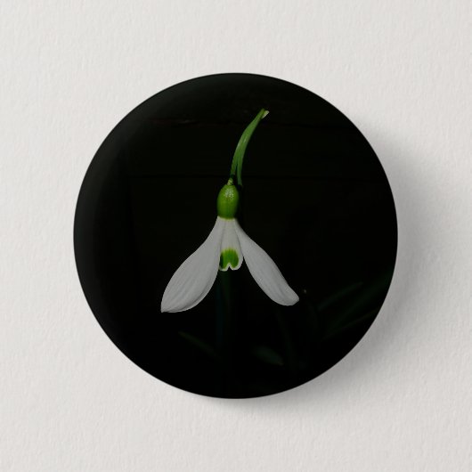 Snowdrop Knopf Button (Vorderseite)