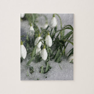 Snowdrop Puzzle