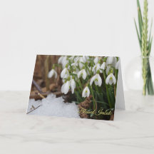 Snowdrop Selig Imbolc Pagan Wiccan Gruß